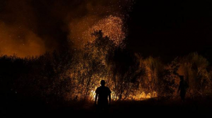 Un băiat de 14 ani a recunoscut că a provocat intenționat mai multe incendii de vegetație. Era supărat că nu avea note bune la școală