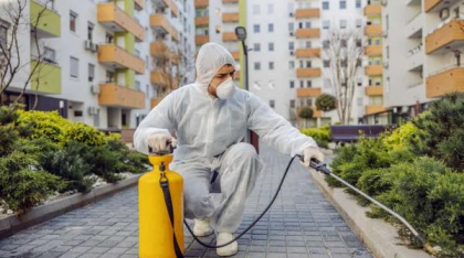 Ghid complet pentru combaterea dăunătorilor în București: Tot ce trebuie să știți