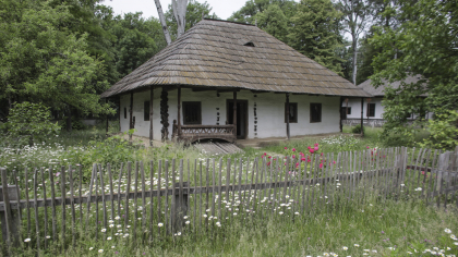 Informație pentru cei care nu pot scăpa de șerpii din curte. Regulă obligatorie dacă locuiești la casă