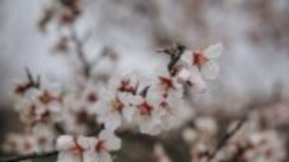 Vremea azi, 1 mai. După-amiază apar ceva averse la munte, de asemenea, în centru şi în sud, dar în rest o să fie timp frumos