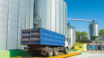 Agro Chirnogi, la cel mai slab rezultat din ultimii patru ani: cifra de afaceri a coborât cu 40% la 730 mil. lei în 2024. Libanezii de la grupul Maria au renunţat la 60 de angajaţi