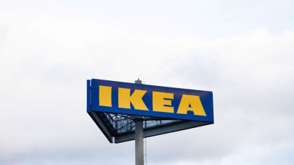 Investigație Greenpeace: „IKEA amenință ultimele păduri prețioase din România”