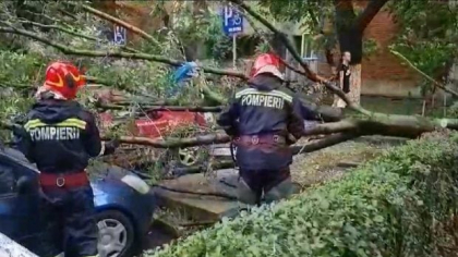 Doar 13 proprietari de mașini avariate de furtuni au primit bani de la Primăria Oradea, în ultimii trei ani: „Dacă o obligă instanţa”