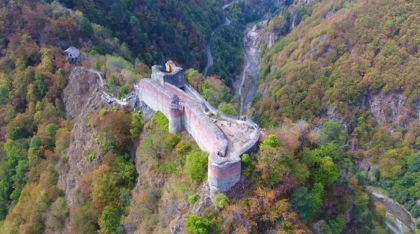 Cetatea Poenari închisă pentru turiști, după ce o ursoaică cu pui „a ocupat” fortificația, distrugând gardurile electrice