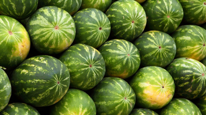 Cât costă kilogramul de pepene în 2025. Prețurile au luat-o razna în supermarketuri și în piețe