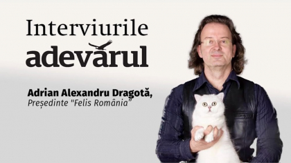 Inițiative legislative pentru protejarea animalelor de companie, cu Adrian Alexandru Dragotă, Președinte "Felis România”