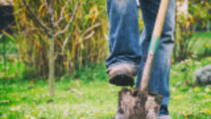 Un bărbat a făcut o descoperire neașteptată în timp ce săpa o groapă într-un sat din Alba