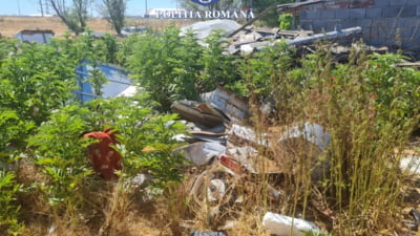 Peste 1700 de kilograme de deșeuri periculoase, descoperite la o fermă din Arad. Poliția a deschis un dosar penal