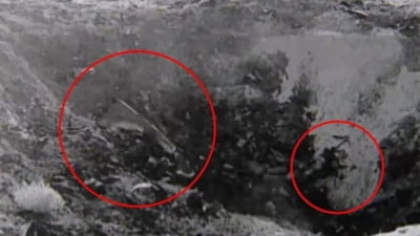 Noi dovezi despre faimosul OZN căzut la Roswell: Documente declasificate, nava extraterestră prăbușită în 1947 VIDEO