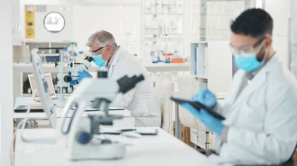 Cercetătorii cresc mini-inimi în laborator, în nordul Italiei. Organoidele sunt făcute din celule stem
