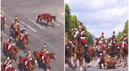 Incidente la parada de Ziua Franței. Un cal a ieșit din rând, altul a căzut cu tot cu călăreț