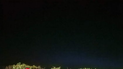 O maşină a derapat şi ajuns într-o vie în județul Vaslui. 4 persoane au fost rănite