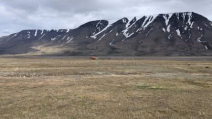 Iarna arctică dispare: cercetătorii au observat o topire accelerată pe arhipelagul Svalbard