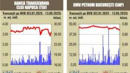BVB Aprecieri pe linie pentru indici