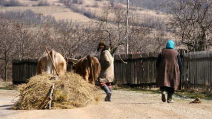Controverse cu viceprimarii. ”Acolo este economia… greșit!?„