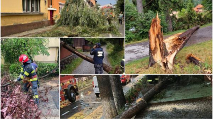 Imaginile dezastrului lăsat în urmă de furtuni și vijelii: Copacii au fost smulși de rafale de peste 100 km/h. Sunt pagube în 19 județe