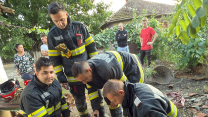 Doi pui de câine, salvați dintr-o fântâna îngustă și adâncă de nouă metri