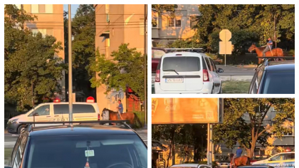 Călăreț din Focșani, urmărit de polițiști după ce a trecut cu calul pe roșu. Imagini desprinse din filmele de comedie