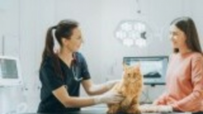 O femeie este căutată de polițiști după ce a furat 2.000 de lei destinați câinilor fără stăpân, dintr-un spital veterinar
