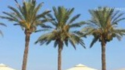 Turiștii își schimbă planurile de vacanță din cauza caniculei. Zonele care sunt acum la mare căutare