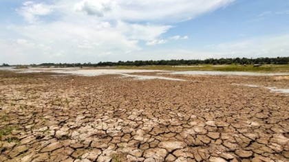 În sudul României, peste 100.000 de hectare s-au transformat în deşert sau urmează să se deşertifice. Ce e de făcut