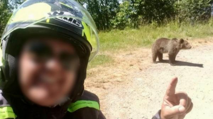 Un motociclist italian a fost ucis de urs pe Transfăgărășan. Turistul și-a făcut poze cu sălbăticiunea care l-a sfâșiat