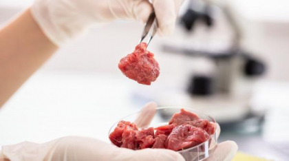 Carnea crescută în laborator, tot mai aproape de a fi servită în restaurantele din întreaga lume