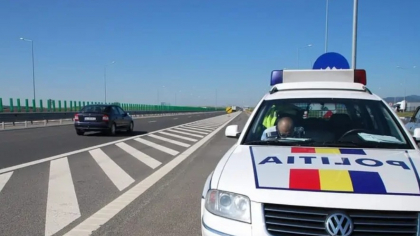 Transapuseana, blocată de două specii de broaște. Lucrările trebuie reluate