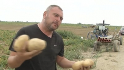 Speranță pentru fermierii din România. Ministrul Agriculturii a promis resuscitarea unui proiect din perioada „Dragnea”: „Maxim 1 an”