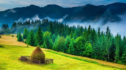 Ziua în care românilor le-a fost furată una dintre cele mai frumoase regiuni. Cum au pus mâna austriecii pe „Țara Fagilor”