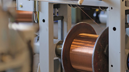 Profitul net al Electroplast Bistriţa, parte a holdingului de materiale de construcţii ROCA Industry, a crescut de 4,5 ori în 2024, la afaceri de 167,5 mil. lei
