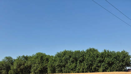 Semne tot mai bune din agricultură: Grâul ar putea aduce o producţie istorică în 2025, de 12 mil. tone