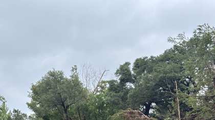 Peste 100 de morți în Texas