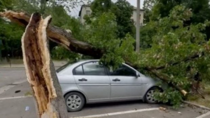 Furia unei furtuni a doborât copaci, inclusiv peste o mașină, în Oradea. O clădire centrală a rămas fără tencuială