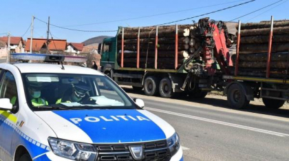 Economiile bugetare bagă la apă Garda Forestieră 