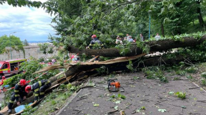 Tragedie pe aleea de sub Tâmpa, în Brașov. Un bărbat a murit după ce un copac a căzut peste el