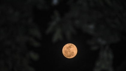 Buck Moon sau Luna Cerbului: Cum să observi Luna plină cea mai îndepărtată de Soare din acest an