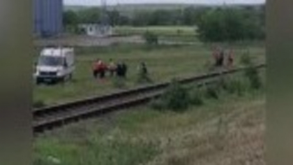 Un cioban din Galați și-a pus viața în pericol pentru a salva un miel. Animalul era blocat între șinele de tren