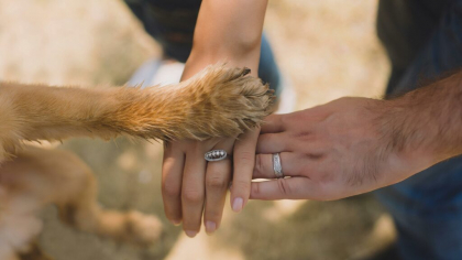 Un nou centru de cercetare explorează cum poate ajuta inteligența artificială oamenii să „vorbească” cu animalele de companie