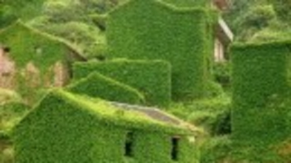 Un sat abandonat din China, înghițit de natură. Vegetația a acoperit complet casele uitate de localnici. FOTO
