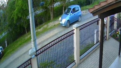 Câine împușcat pe stradă de un șofer. Acesta a pus animalul în portbagaj și a plecat