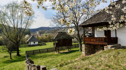 Lege pentru românii care stau la curte. Vecinul este obligat să te ajute. Nu poate refuza să achite banii