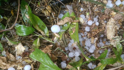 Alertă meteo! Ploi de până la 50 l/mp, descărcări electrice, vijelii şi grindină