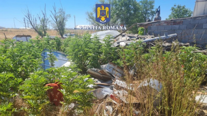 Peste 1700 de kilograme de deșeuri periculoase, descoperite într-o fermă din Arad