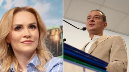 Își dispută pielea ursului din pădure. A început războiul în PSD pentru Primăria Capitalei. Cine sunt favoriții SURSE