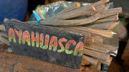 Miturile antice despre Ayuhasca: oamenii doar le spun turiștilor poveștile pe care vor să le audă