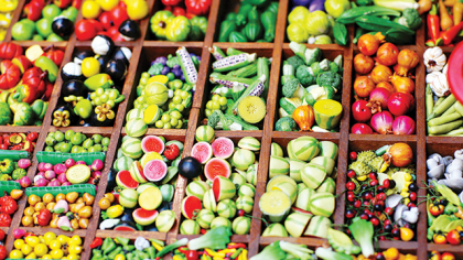 Proiect european de 10,6 mil. lei pentru modernizarea pieţei agroalimentare Dumbrava Nord din municipiul Zalău