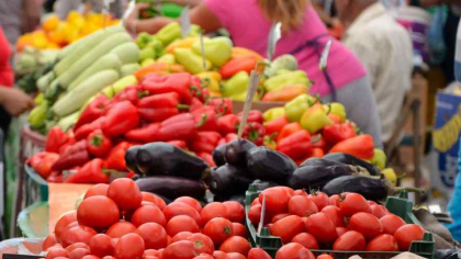  Alimentara Europei, nu Arsenalul Ei