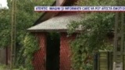 Gest inuman. Un bărbat a ucis în bătaie un pui de câine într-un bar din Olt. Martorii au sunat șocați la 112