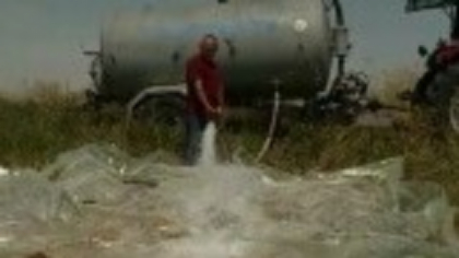 Temperaturile extreme fac prăpăd în rândul animalelor. În Dolj, exemplare din mai multe specii au fost găsite moarte